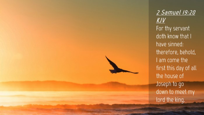 Picture 04 - 2 Samuel 19:20 KJV Desktop Wallpaper - For thy servant doth know that I have sinned: - Desktop Bible Verse Wallpaper