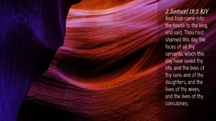 Picture 04 - 2 Samuel 19:5 KJV Desktop Wallpaper - And Joab came into the house to the king, and - Desktop Bible Verse Wallpaper