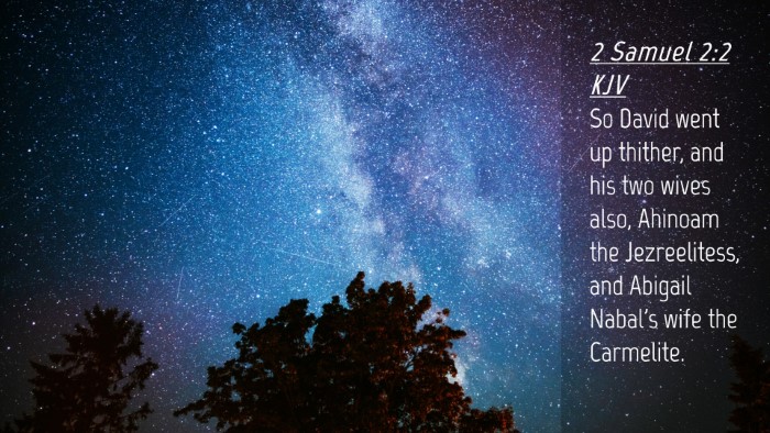 Picture 04 - 2 Samuel 2:2 KJV Desktop Wallpaper - So David went up thither, and his two wives also, - Desktop Bible Verse Wallpaper