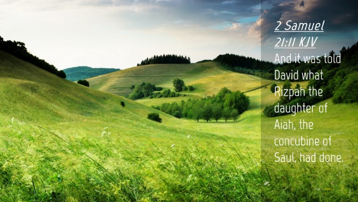 Picture 04 - 2 Samuel 21:11 KJV Desktop Wallpaper - And it was told David what Rizpah the daughter of - Desktop Bible Verse Wallpaper