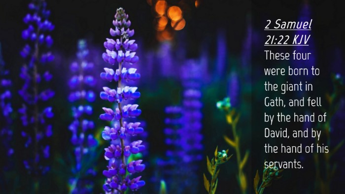 Picture 04 - 2 Samuel 21:22 KJV Desktop Wallpaper - These four were born to the giant in Gath, and - Desktop Bible Verse Wallpaper