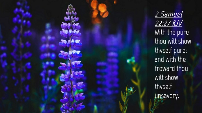 Picture 04 - 2 Samuel 22:27 KJV Desktop Wallpaper - With the pure thou wilt show thyself pure; and - Desktop Bible Verse Wallpaper