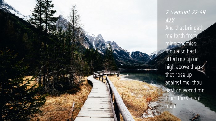 Picture 04 - 2 Samuel 22:49 KJV Desktop Wallpaper - And that bringeth me forth from mine enemies: - Desktop Bible Verse Wallpaper
