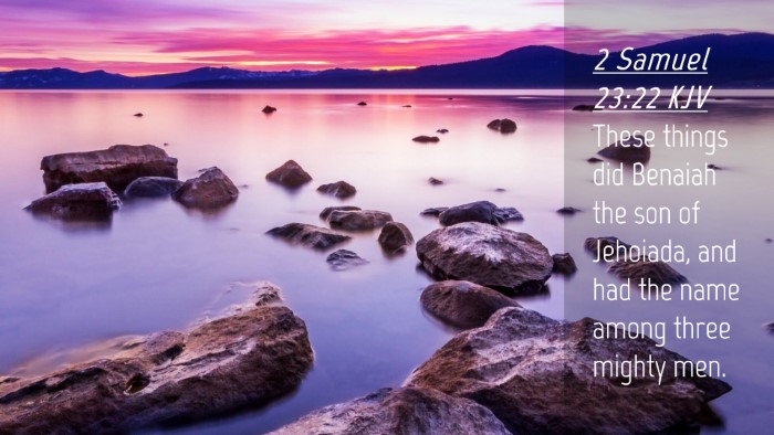 Picture 04 - 2 Samuel 23:22 KJV Desktop Wallpaper - These things did Benaiah the son of Jehoiada, and - Desktop Bible Verse Wallpaper