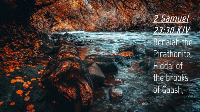 Picture 04 - 2 Samuel 23:30 KJV Desktop Wallpaper - Benaiah the Pirathonite, Hiddai of the brooks of - Desktop Bible Verse Wallpaper