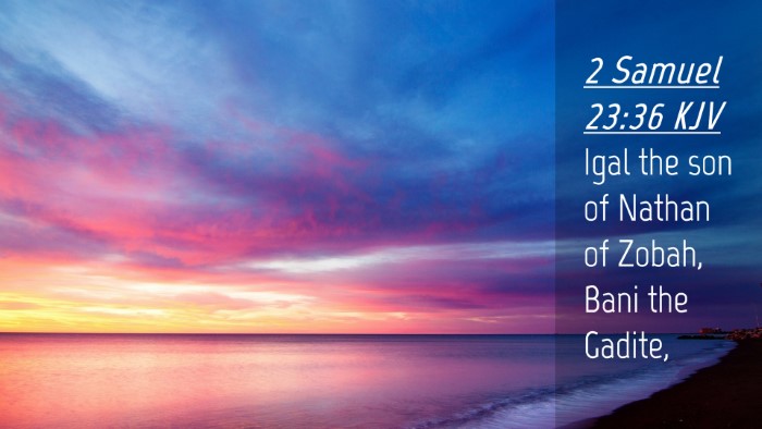 Picture 04 - 2 Samuel 23:36 KJV Desktop Wallpaper - Igal the son of Nathan of Zobah, Bani the - Desktop Bible Verse Wallpaper
