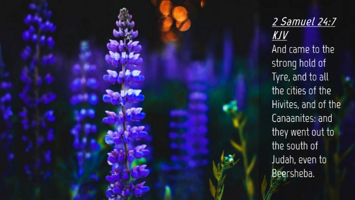 Picture 04 - 2 Samuel 24:7 KJV Desktop Wallpaper - And came to the strong hold of Tyre, and to all - Desktop Bible Verse Wallpaper