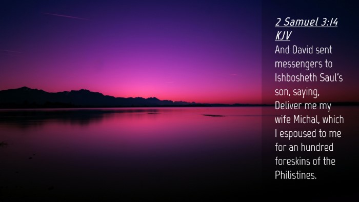 Picture 04 - 2 Samuel 3:14 KJV Desktop Wallpaper - And David sent messengers to Ishbosheth Saul's - Desktop Bible Verse Wallpaper