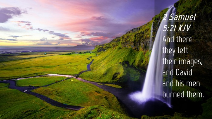 Picture 04 - 2 Samuel 5:21 KJV Desktop Wallpaper - And there they left their images, and David and - Desktop Bible Verse Wallpaper