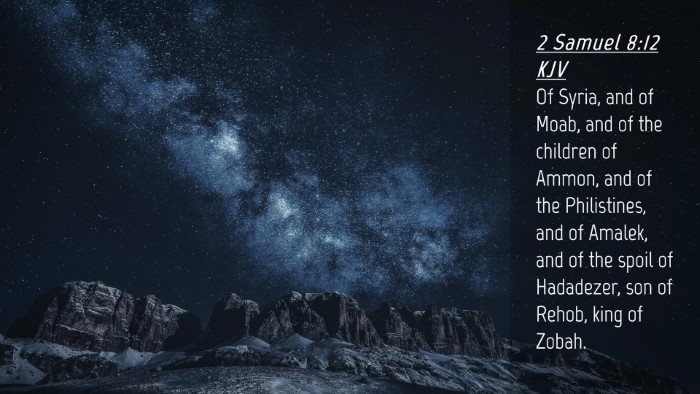 Picture 04 - 2 Samuel 8:12 KJV Desktop Wallpaper - Of Syria, and of Moab, and of the children of - Desktop Bible Verse Wallpaper