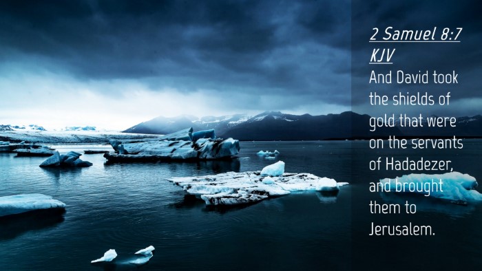 Picture 04 - 2 Samuel 8:7 KJV Desktop Wallpaper - And David took the shields of gold that were on - Desktop Bible Verse Wallpaper