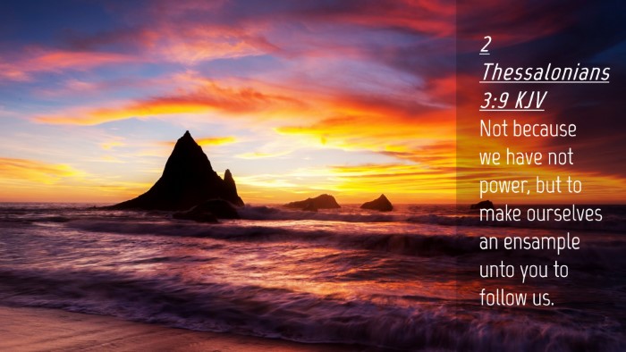 Picture 04 - 2 Thessalonians 3:9 KJV Desktop Wallpaper - Not because we have not power, but to make - Desktop Bible Verse Wallpaper