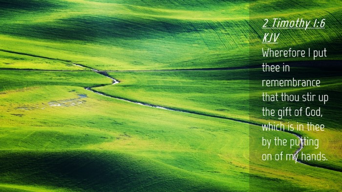 Picture 04 - 2 Timothy 1:6 KJV Desktop Wallpaper - Wherefore I put thee in remembrance that thou - Desktop Bible Verse Wallpaper