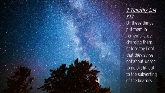 Picture 04 - 2 Timothy 2:14 KJV Desktop Wallpaper - Of these things put them in remembrance, charging - Desktop Bible Verse Wallpaper