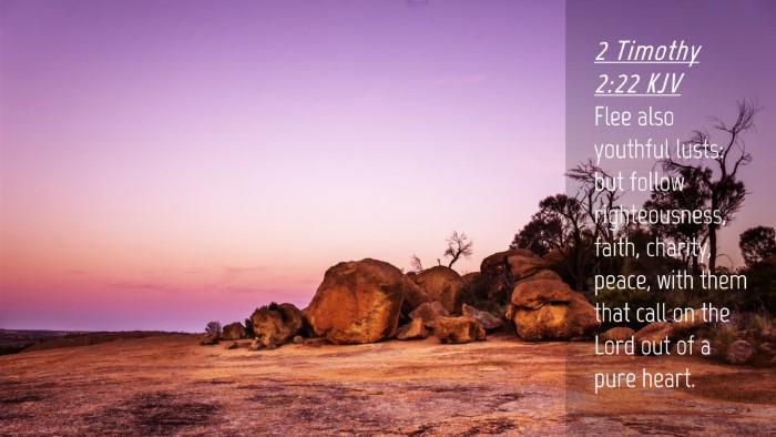 Picture 04 - 2 Timothy 2:22 KJV Desktop Wallpaper - Flee also youthful lusts: but follow - Desktop Bible Verse Wallpaper
