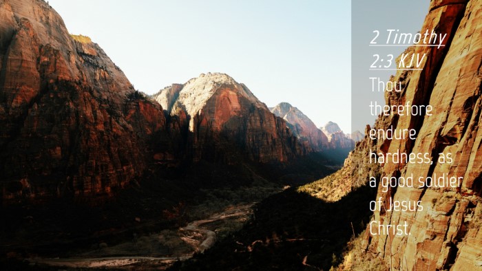 Picture 04 - 2 Timothy 2:3 KJV Desktop Wallpaper - Thou therefore endure hardness, as a good soldier - Desktop Bible Verse Wallpaper