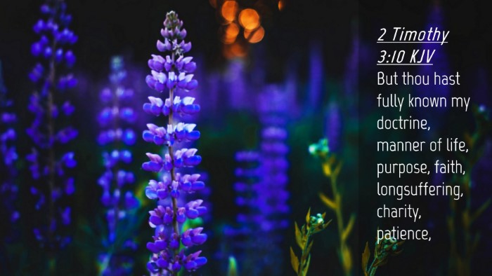 Picture 04 - 2 Timothy 3:10 KJV Desktop Wallpaper - But thou hast fully known my doctrine, manner of - Desktop Bible Verse Wallpaper