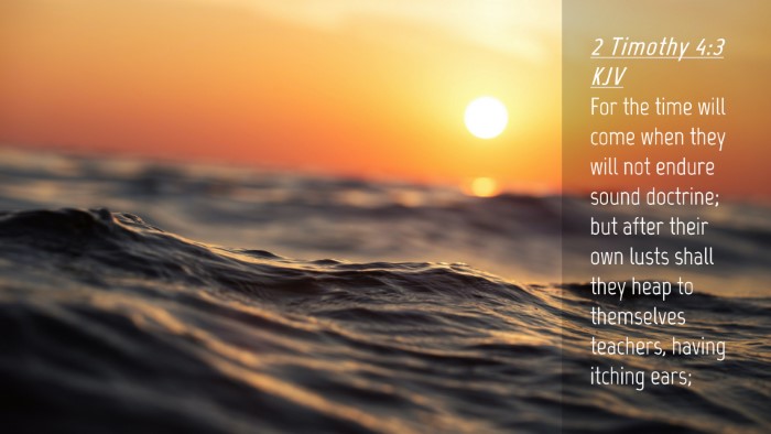 Picture 04 - 2 Timothy 4:3 KJV Desktop Wallpaper - For the time will come when they will not endure - Desktop Bible Verse Wallpaper