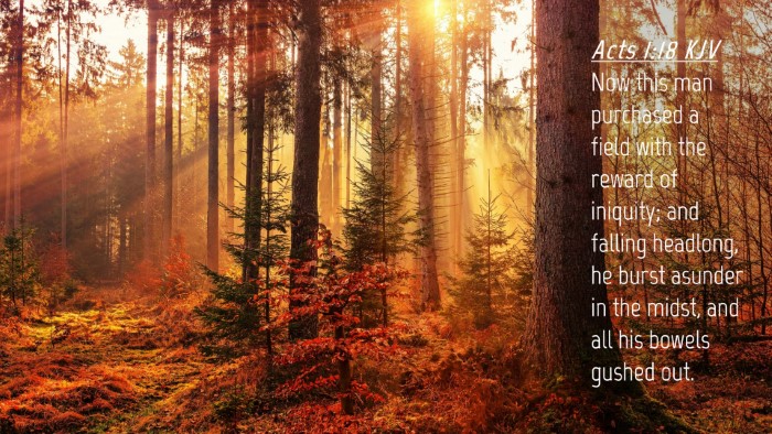 Picture 04 - Acts 1:18 KJV Desktop Wallpaper - Now this man purchased a field with the reward of - Desktop Bible Verse Wallpaper