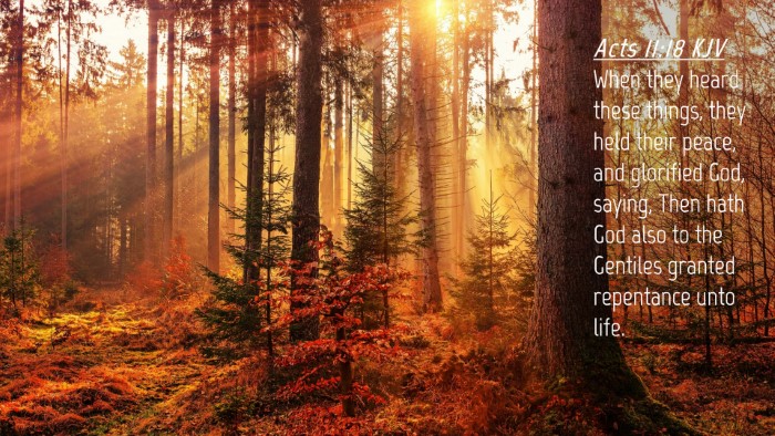 Picture 04 - Acts 11:18 KJV Desktop Wallpaper - When they heard these things, they held their - Desktop Bible Verse Wallpaper