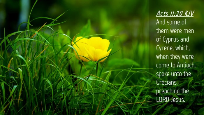Picture 04 - Acts 11:20 KJV Desktop Wallpaper - And some of them were men of Cyprus and Cyrene, - Desktop Bible Verse Wallpaper