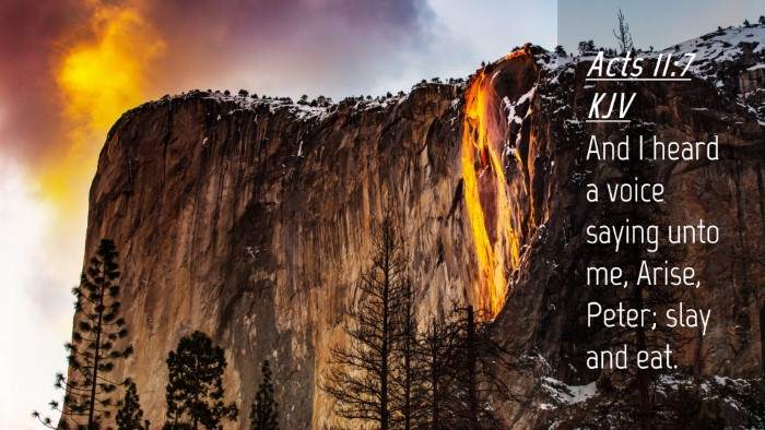 Picture 04 - Acts 11:7 KJV Desktop Wallpaper - And I heard a voice saying unto me, Arise, Peter; - Desktop Bible Verse Wallpaper