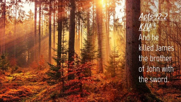 Picture 04 - Acts 12:2 KJV Desktop Wallpaper - And he killed James the brother of John with the - Desktop Bible Verse Wallpaper