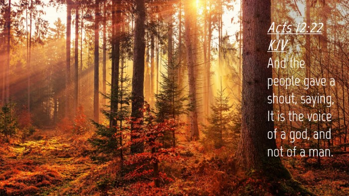 Picture 04 - Acts 12:22 KJV Desktop Wallpaper - And the people gave a shout, saying, It is the - Desktop Bible Verse Wallpaper