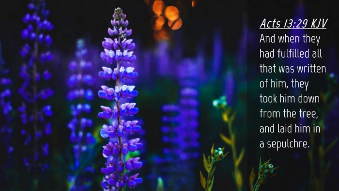 Picture 04 - Acts 13:29 KJV Desktop Wallpaper - And when they had fulfilled all that was written - Desktop Bible Verse Wallpaper