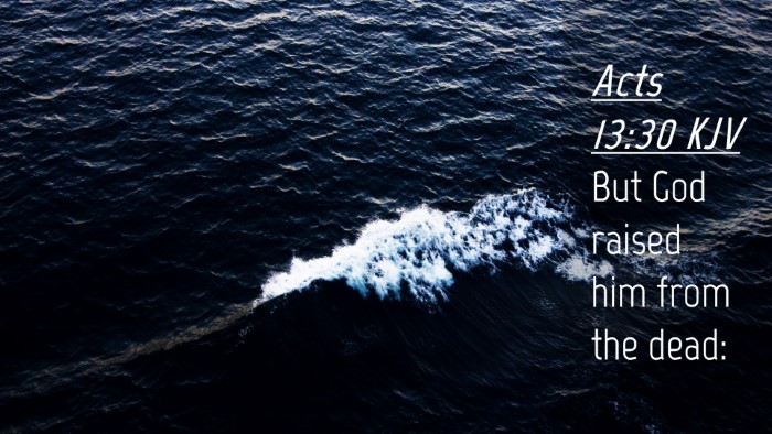 Picture 04 - Acts 13:30 KJV Desktop Wallpaper - But God raised him from the - Desktop Bible Verse Wallpaper