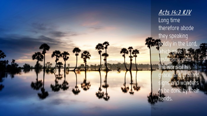 Picture 04 - Acts 14:3 KJV Desktop Wallpaper - Long time therefore abode they speaking boldly in - Desktop Bible Verse Wallpaper