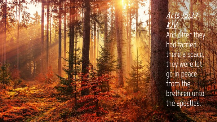 Picture 04 - Acts 15:33 KJV Desktop Wallpaper - And after they had tarried there a space, they - Desktop Bible Verse Wallpaper