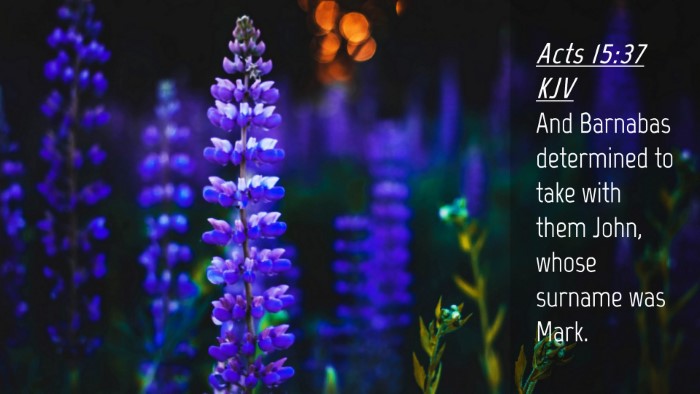 Picture 04 - Acts 15:37 KJV Desktop Wallpaper - And Barnabas determined to take with them John, - Desktop Bible Verse Wallpaper