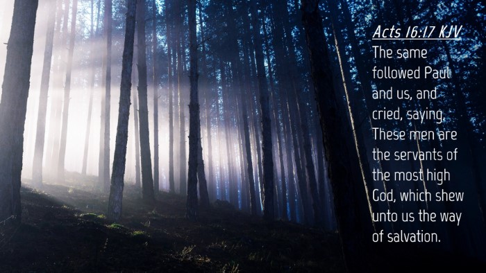 Picture 04 - Acts 16:17 KJV Desktop Wallpaper - The same followed Paul and us, and cried, saying, - Desktop Bible Verse Wallpaper