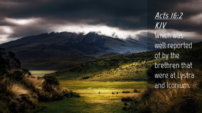 Picture 04 - Acts 16:2 KJV Desktop Wallpaper - Which was well reported of by the brethren that - Desktop Bible Verse Wallpaper