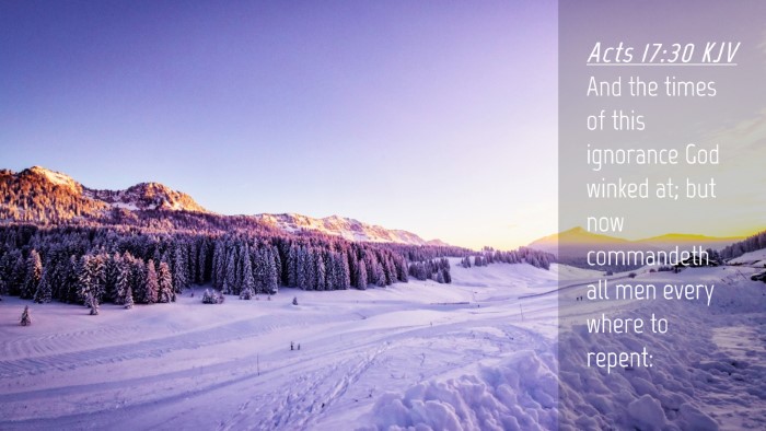 Picture 04 - Acts 17:30 KJV Desktop Wallpaper - And the times of this ignorance God winked at; - Desktop Bible Verse Wallpaper