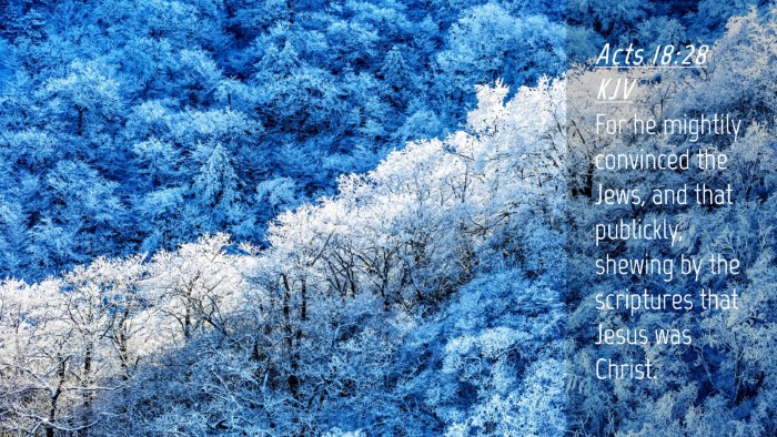 Picture 04 - Acts 18:28 KJV Desktop Wallpaper - For he mightily convinced the Jews, and that - Desktop Bible Verse Wallpaper