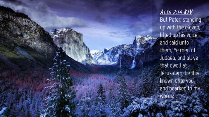 Picture 04 - Acts 2:14 KJV Desktop Wallpaper - But Peter, standing up with the eleven, lifted up - Desktop Bible Verse Wallpaper