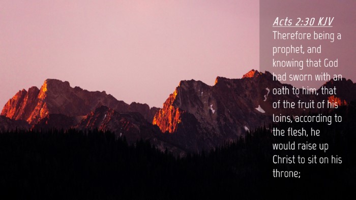 Picture 04 - Acts 2:30 KJV Desktop Wallpaper - Therefore being a prophet, and knowing that God - Desktop Bible Verse Wallpaper