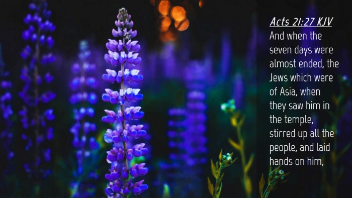 Picture 04 - Acts 21:27 KJV Desktop Wallpaper - And when the seven days were almost ended, the - Desktop Bible Verse Wallpaper