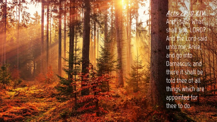 Picture 04 - Acts 22:10 KJV Desktop Wallpaper - And I said, What shall I do, LORD? And the Lord - Desktop Bible Verse Wallpaper