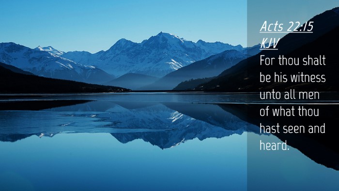 Picture 04 - Acts 22:15 KJV Desktop Wallpaper - For thou shalt be his witness unto all men of - Desktop Bible Verse Wallpaper