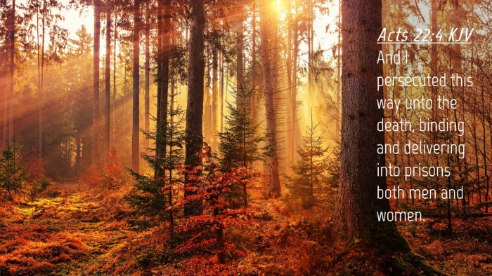 Picture 04 - Acts 22:4 KJV Desktop Wallpaper - And I persecuted this way unto the death, binding - Desktop Bible Verse Wallpaper