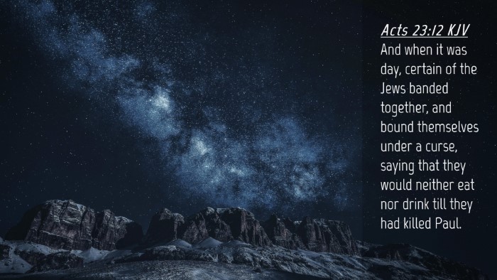 Picture 04 - Acts 23:12 KJV Desktop Wallpaper - And when it was day, certain of the Jews banded - Desktop Bible Verse Wallpaper