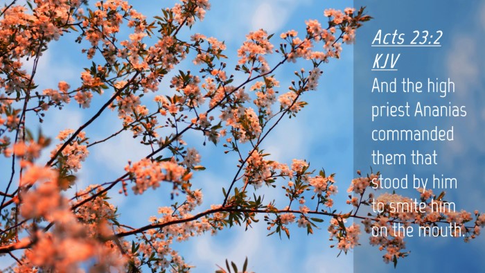 Picture 04 - Acts 23:2 KJV Desktop Wallpaper - And the high priest Ananias commanded them that - Desktop Bible Verse Wallpaper