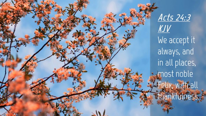 Picture 04 - Acts 24:3 KJV Desktop Wallpaper - We accept it always, and in all places, most - Desktop Bible Verse Wallpaper