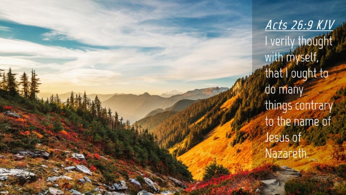 Picture 04 - Acts 26:9 KJV Desktop Wallpaper - I verily thought with myself, that I ought to do - Desktop Bible Verse Wallpaper