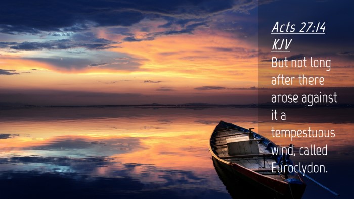 Picture 04 - Acts 27:14 KJV Desktop Wallpaper - But not long after there arose against it a - Desktop Bible Verse Wallpaper