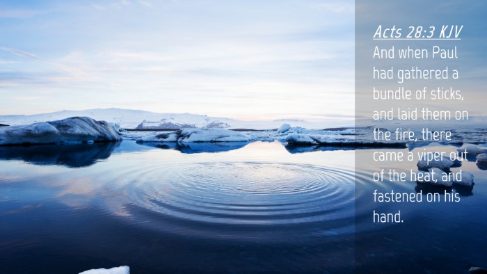 Picture 04 - Acts 28:3 KJV Desktop Wallpaper - And when Paul had gathered a bundle of sticks, - Desktop Bible Verse Wallpaper