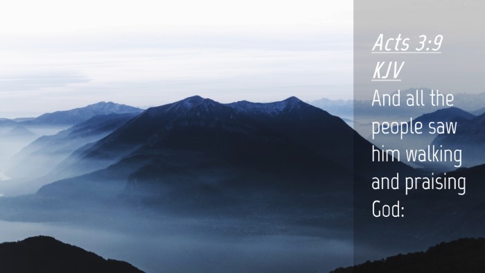 Picture 04 - Acts 3:9 KJV Desktop Wallpaper - And all the people saw him walking and praising - Desktop Bible Verse Wallpaper